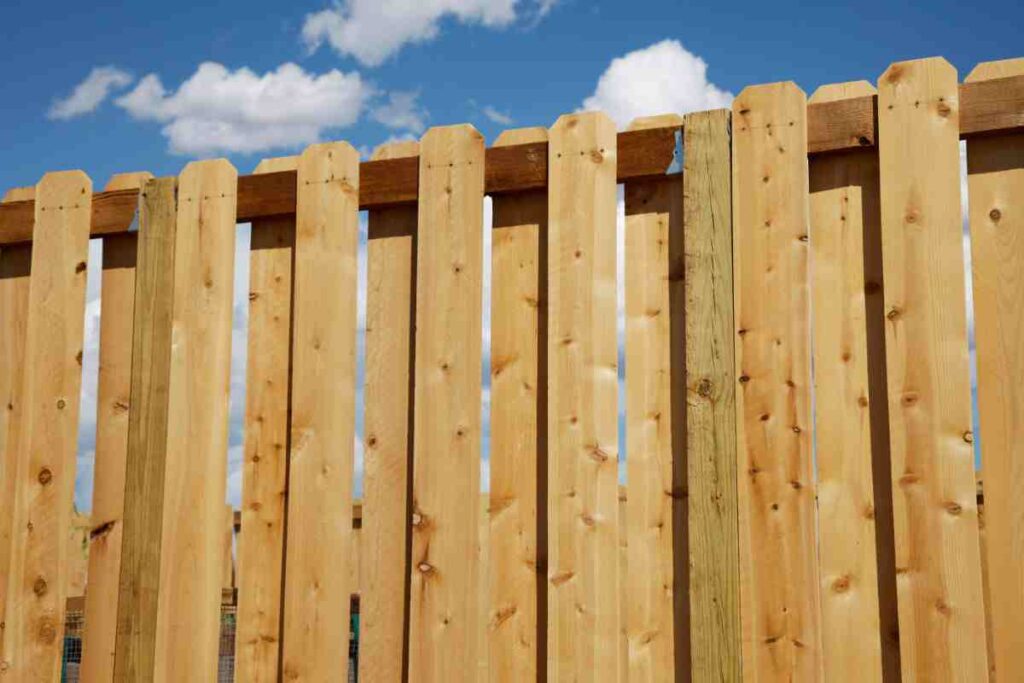 cedar or pine fence okc